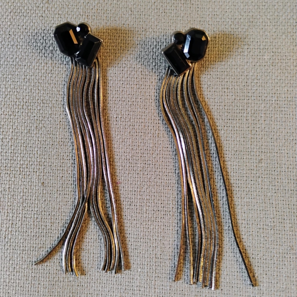 Long Silver Fringe Earrings